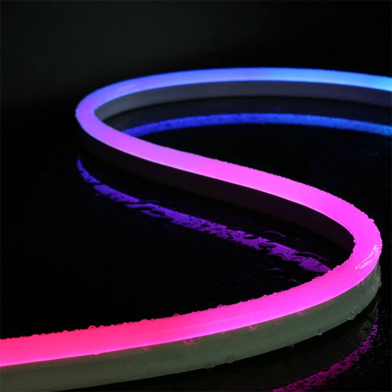 Neon LED Strip Lights 24V with Music Sync RGBIC (Full Set)