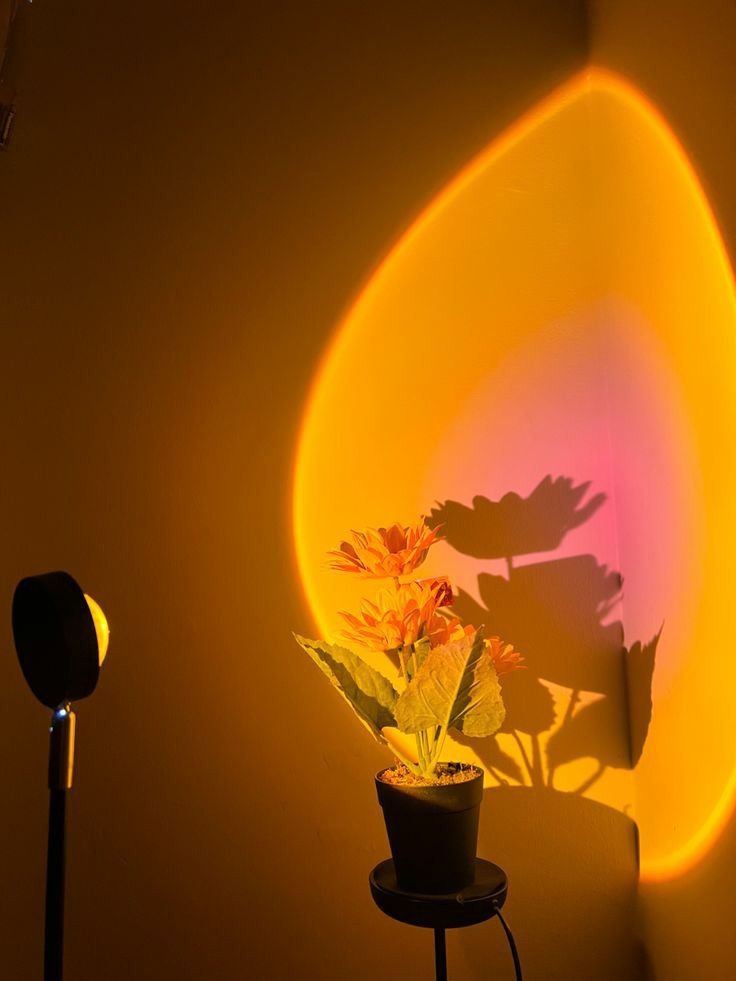 Sunset Projector Lamp