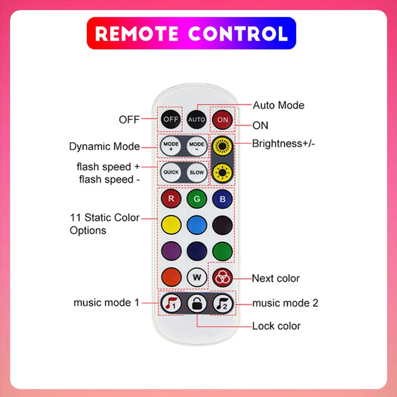 Neon LED Strip Lights 24V with Music Sync RGBIC (Full Set)