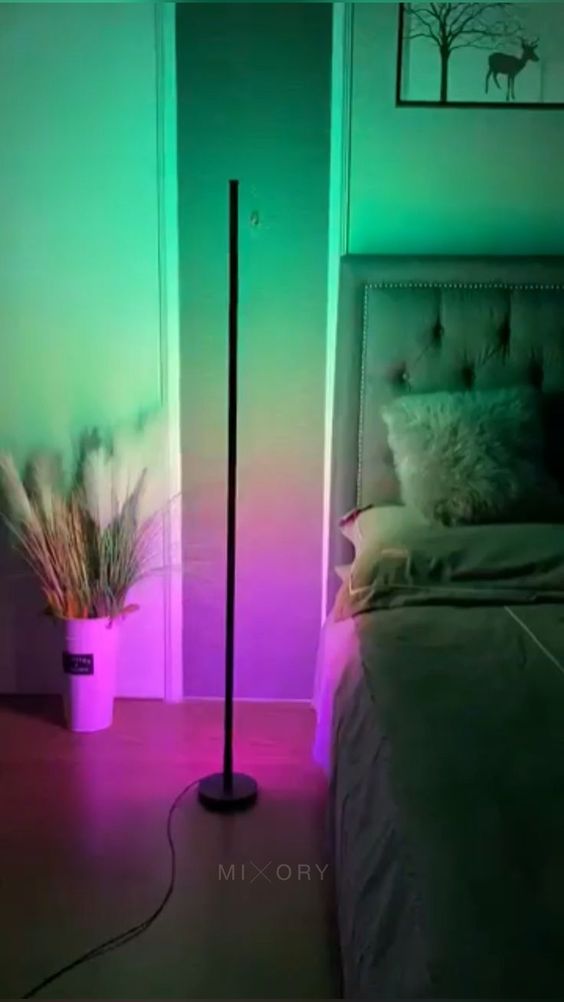 Floor Lamp with music sync