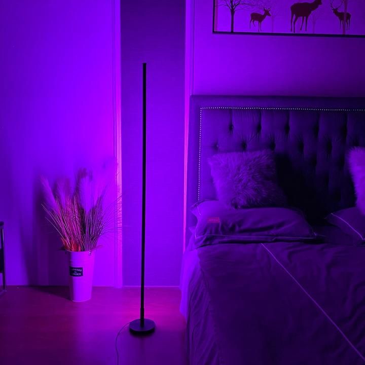Floor Lamp with music sync