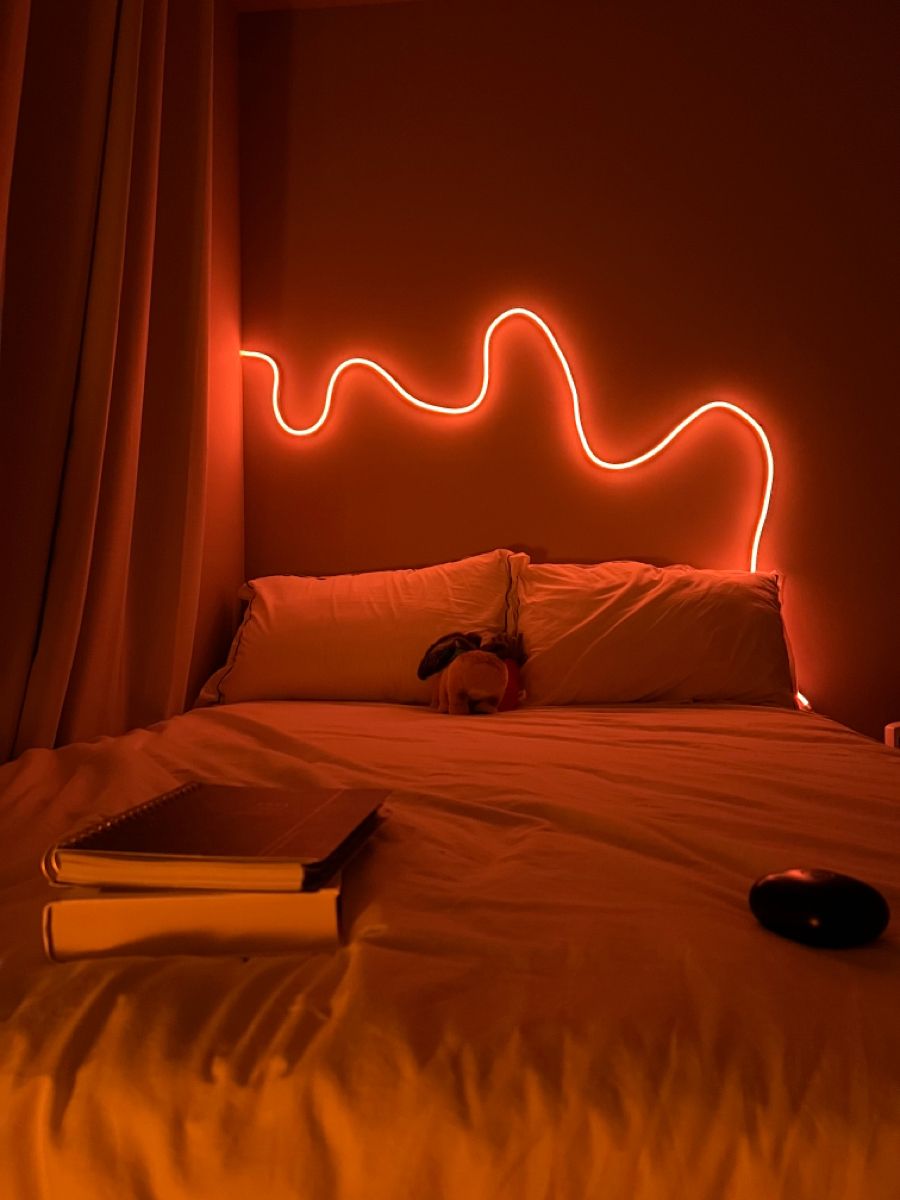 Neon LED Strip Lights 24V with Music Sync RGBIC (Full Set)