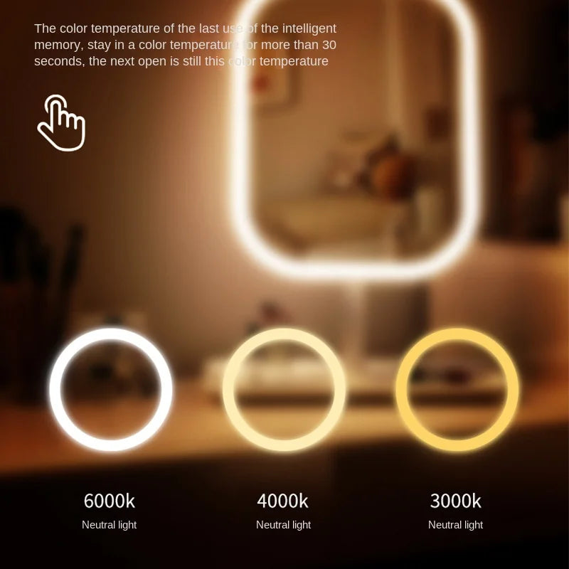 LED Vanity Mirror 3 Color