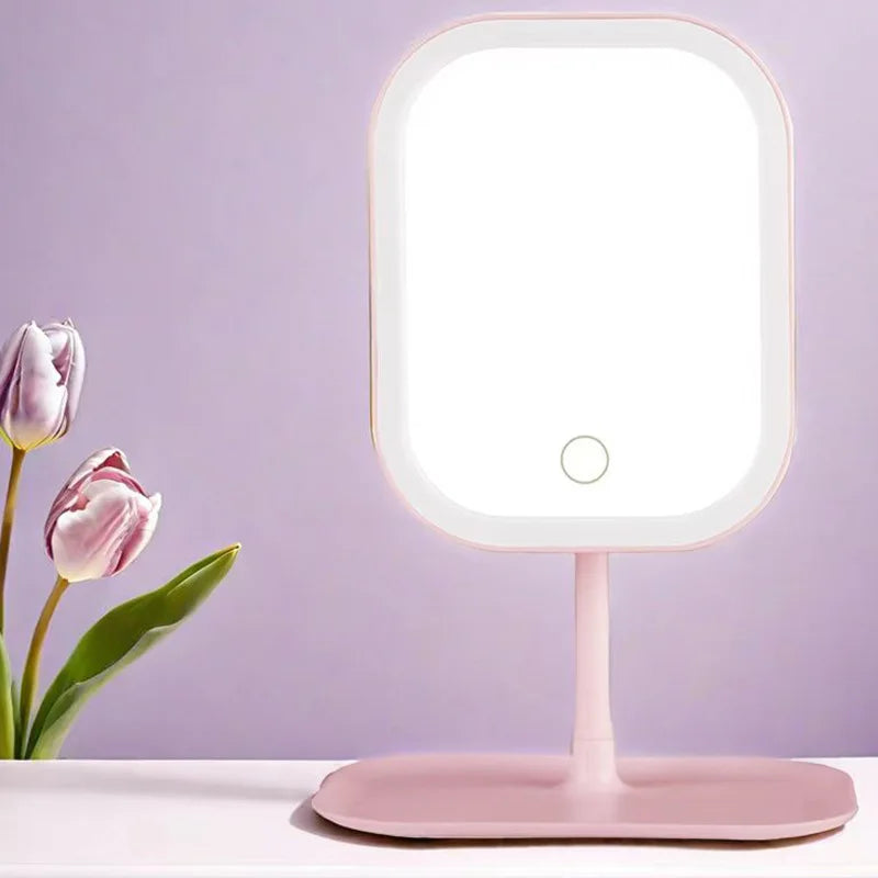 LED Vanity Mirror 3 Color