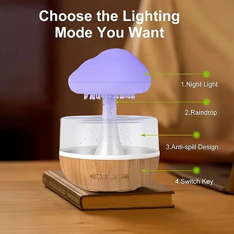 Rain Cloud Humidifier